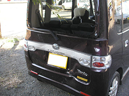 pic1