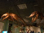 img_20131212-002815.jpg