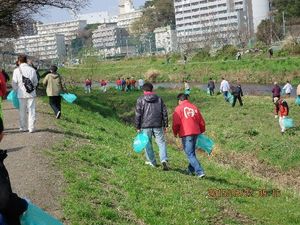 img_20150415-220203.jpg