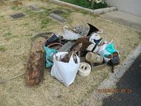 img_20150415-220306.jpg