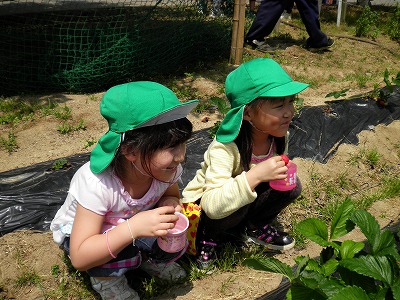 img_20130521-134415.jpg