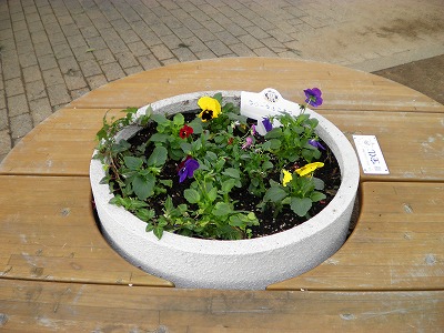 img_20131029-145305.jpg
