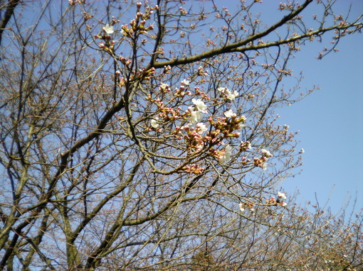 img_20140402-131057.jpg