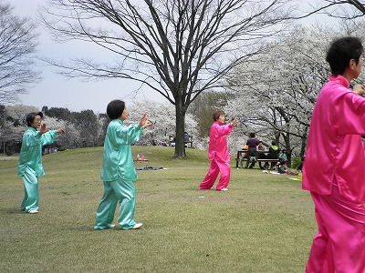 img_20140415-151706.jpg