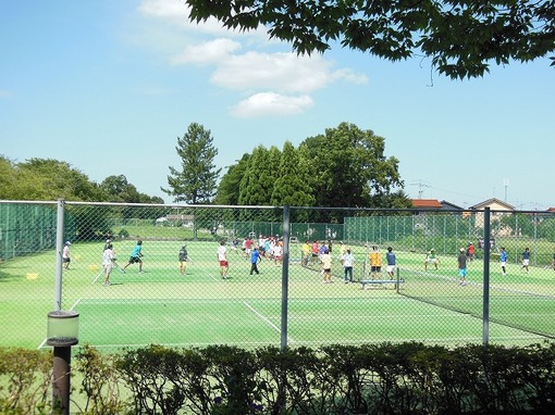 img_20140822-093553.jpg