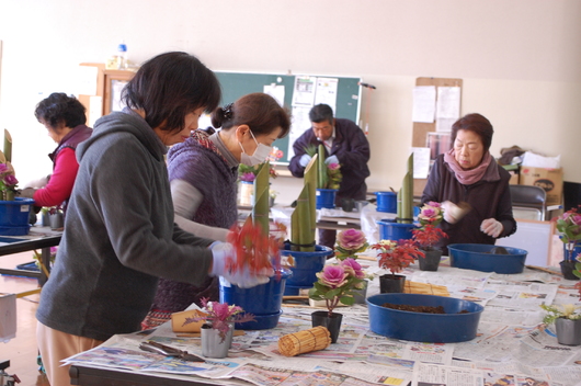 img_20141230-105410.jpg