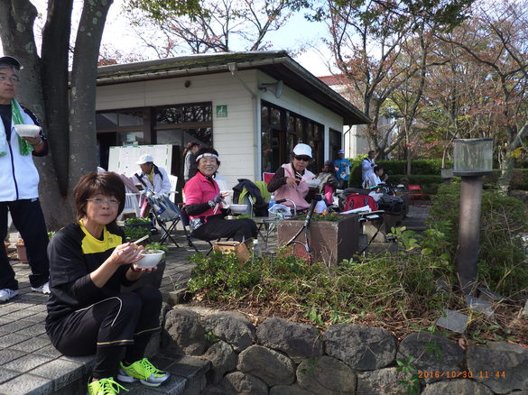 img_20161101-151941.jpg
