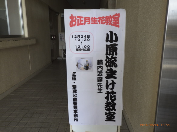 img_20161227-104730.jpg