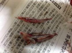 img_20130120-034022.jpg
