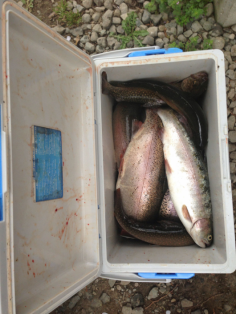 img_20130404-083732.png