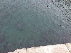 img_20130404-085658.jpg