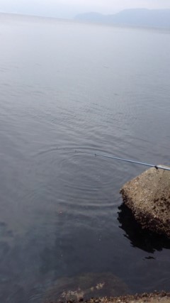 img_20130404-085728.jpg