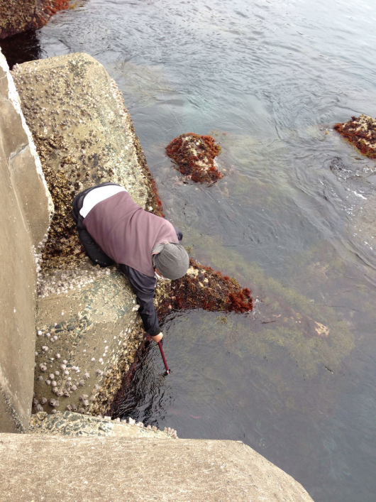 img_20130404-085849.png