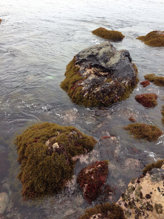 img_20130404-090835.png