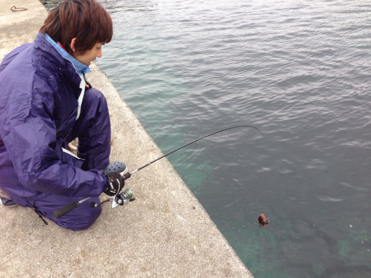 img_20130404-090928.png
