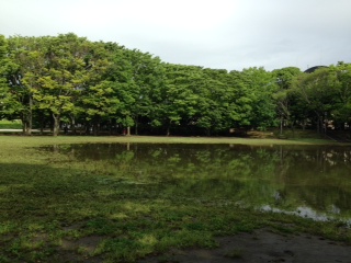 ここはどこ?