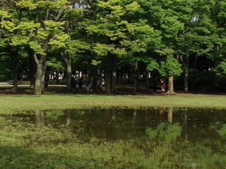 ここはどこ?