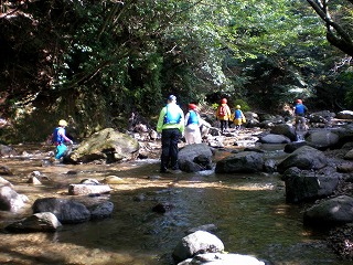 img_20120901-231303.jpg
