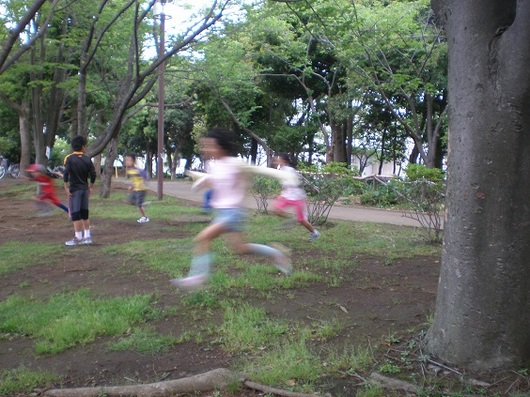img_20130519-114142.jpg
