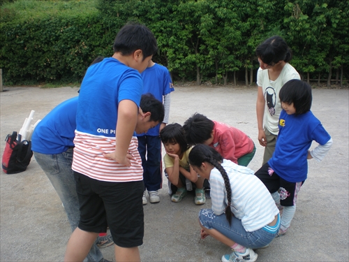 img_20130602-232032.jpg