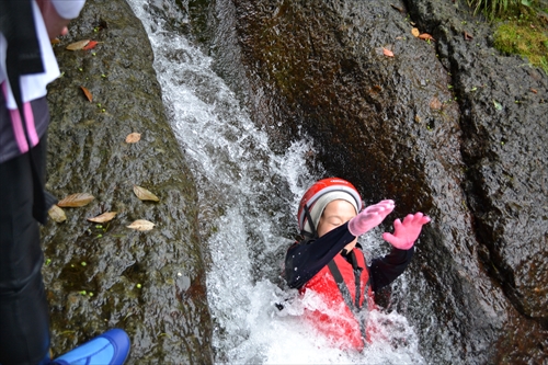 img_20130923-154024.jpg