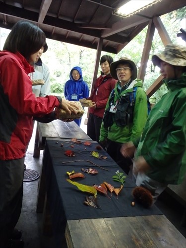 img_20131027-230911.jpg