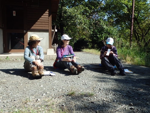 img_20131027-231234.jpg