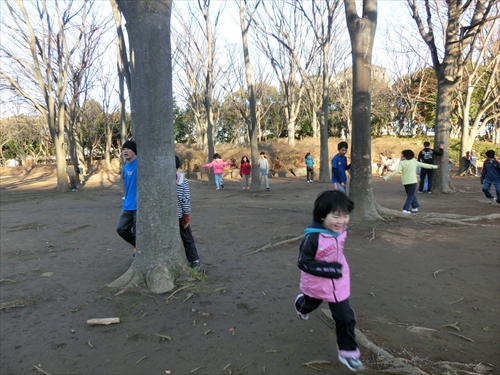 img_20131216-002236.jpg