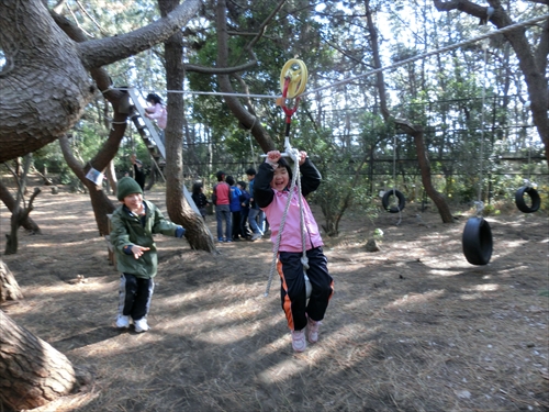 img_20140113-164742.jpg