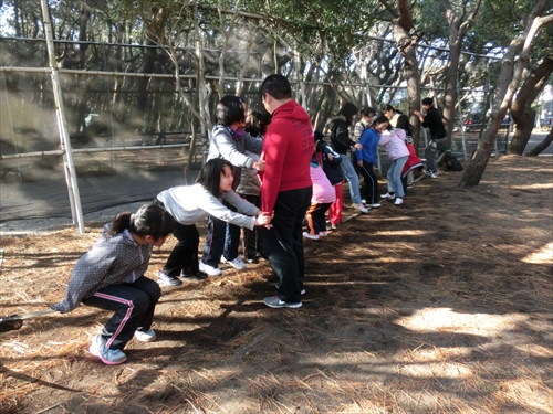img_20140113-164810.jpg