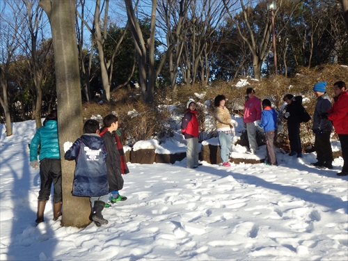 img_20140216-110113.jpg