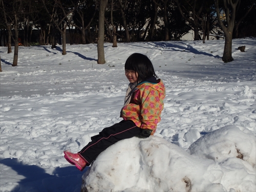 img_20140216-110223.jpg