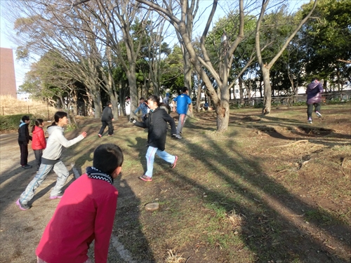 img_20140316-224854.jpg