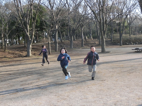 img_20140316-224913.jpg
