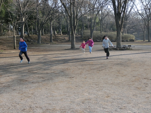 img_20140316-224934.jpg
