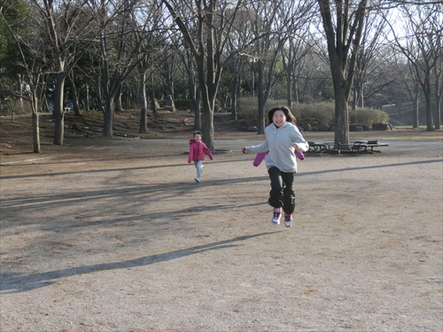 img_20140316-224942.jpg