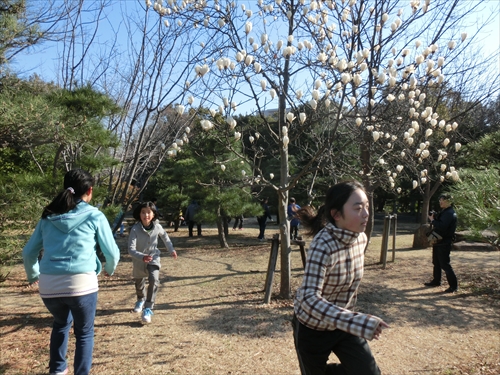 img_20140323-232047.jpg