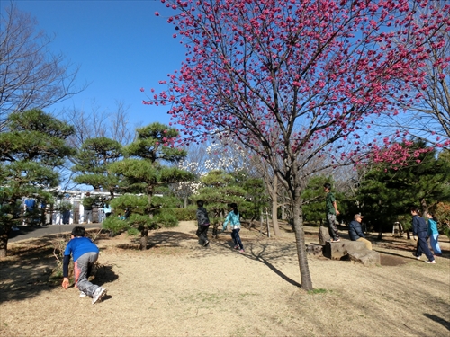 img_20140323-232108.jpg