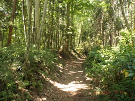img_20140612-004635.jpg