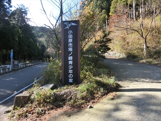 img_20141228-230539.jpg