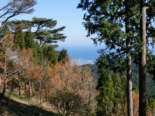 img_20141228-230550.jpg