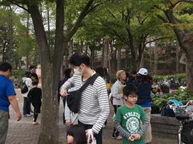 img_20150503-183505.jpg