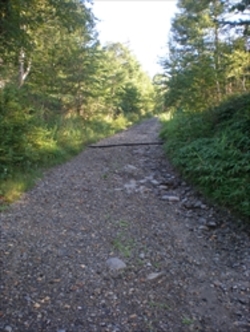 img_20160820-234948.jpg