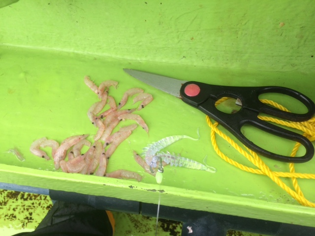 image6.jpeg
