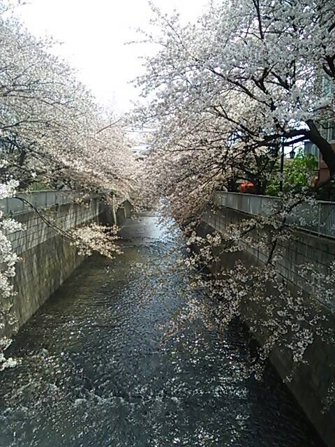 img_20140407-114603.jpg