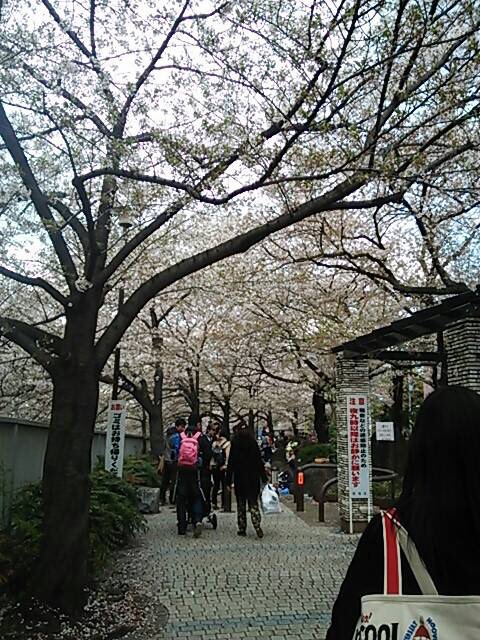 img_20140407-114608.jpg
