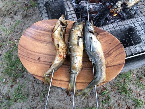 img_20140422-003132.jpg