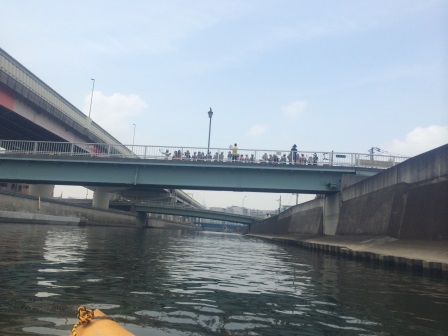 img_20140605-173744.jpg