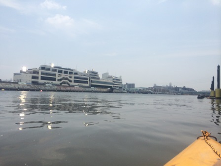 img_20140605-173945.jpg