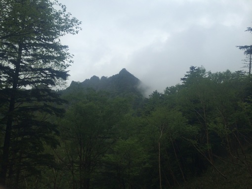 img_20140623-102553.jpg